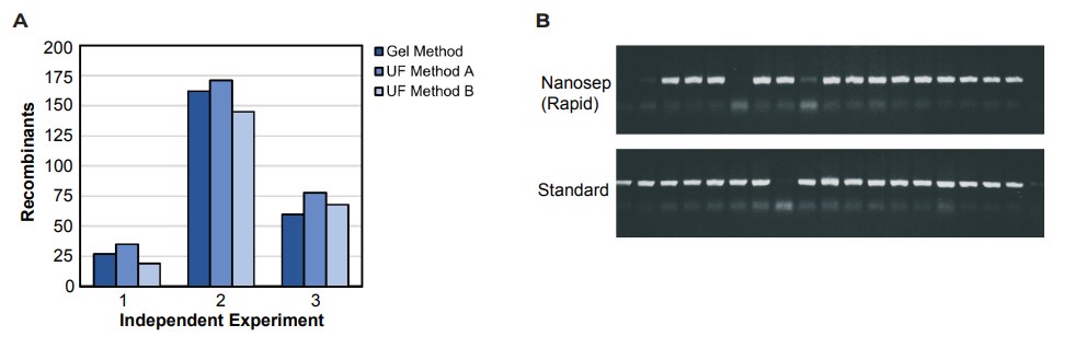 ultrafiltration cloning DNA fragments